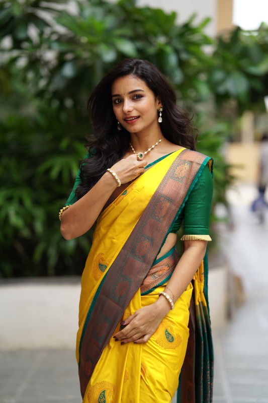 Kanjeevaram Saree